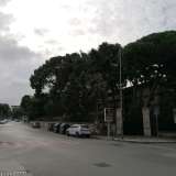 Partiamo dall�incrocio tra via Palmieri e via Fanelli dove, all�ombra di altissimi pini...